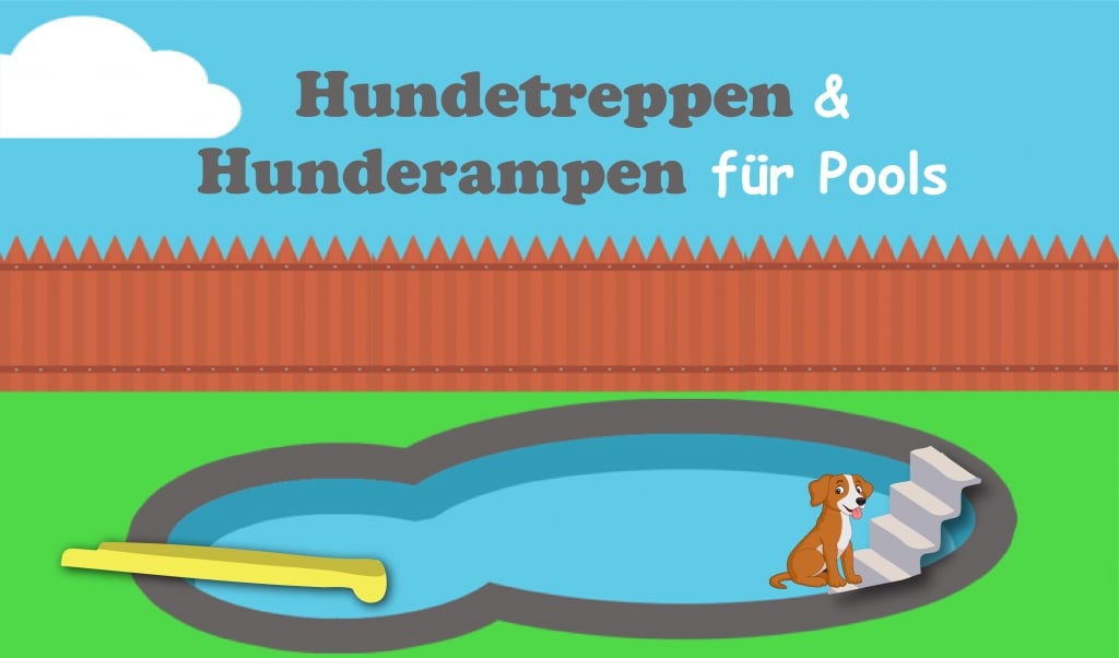 trockenfutter einweichen welpe Trockenfutter - Welpe und Junior main image 1