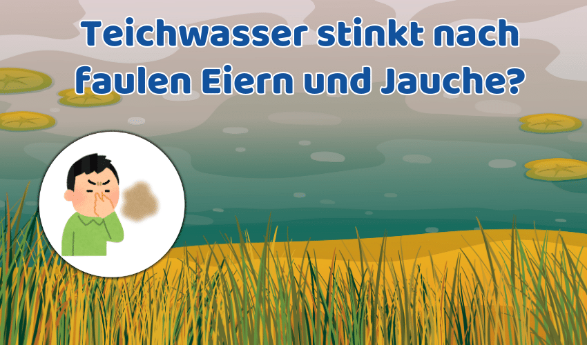 Leitungswasser Stinkt Nach Faulen Eiern