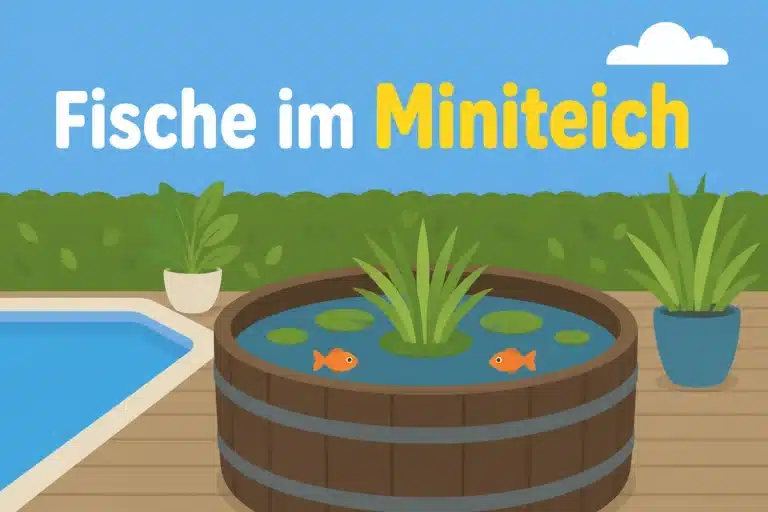 Fische im Miniteich - Illustration