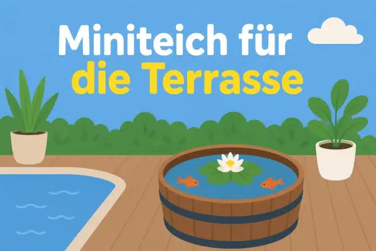 Miniteich für die Terrasse - Illustration